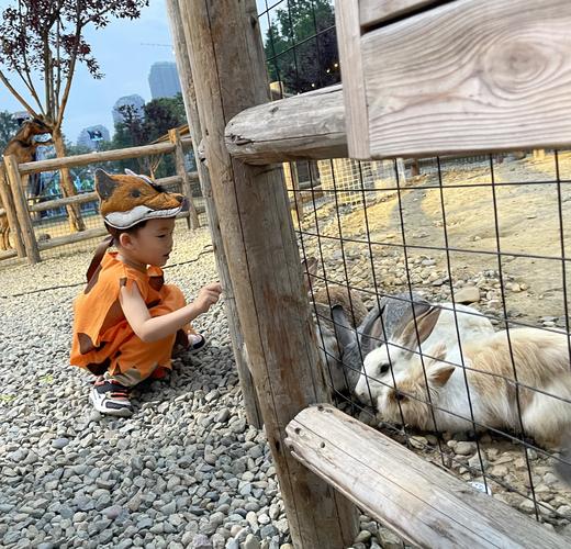 【麓客岛-小岛动物农场夜场票】火遍小红书的美式复古动物农场，欢迎来打卡，门票仅19.9元/人，与羊驼，山羊，小兔兔零距离接触，免预约，端午可用 商品图1