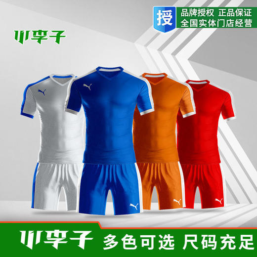 【3套以上，每满200减20】正品puma彪马男士足球组队服短袖足球服套装定制光板球衣比赛服 商品图2