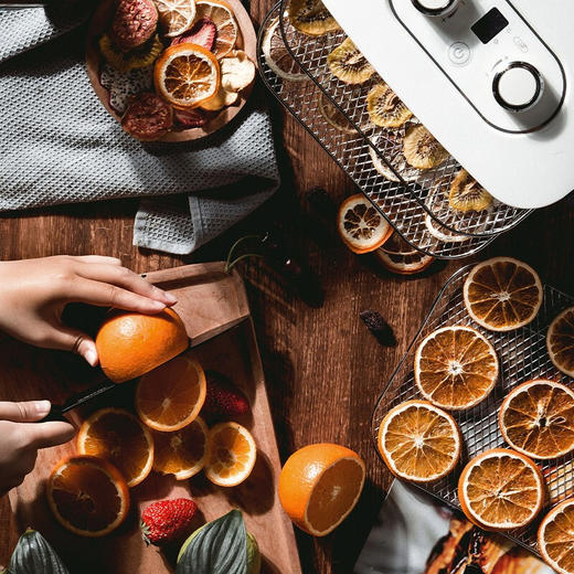 摩飞干果机料理机家用水果蔬菜肉类脱水机干燥机MR6255（蓝色） 商品图5