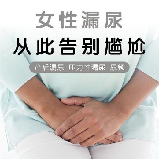 妇女漏尿贴(1盒8贴） 商品图2