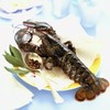 【鲜活】大波士顿龙虾  单只2-4斤上下  下单需要补差价！（送货路上不保活） 商品缩略图0