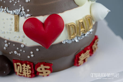 赚钱养家 商品图2