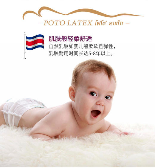 泰国POTO LATEX儿童纯天然乳胶枕（满2就送乳胶毛巾，送完为止） 商品图0