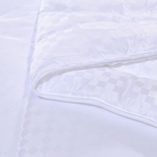 富安娜 舒逸四季被\203*229cm\1000g 商品图6