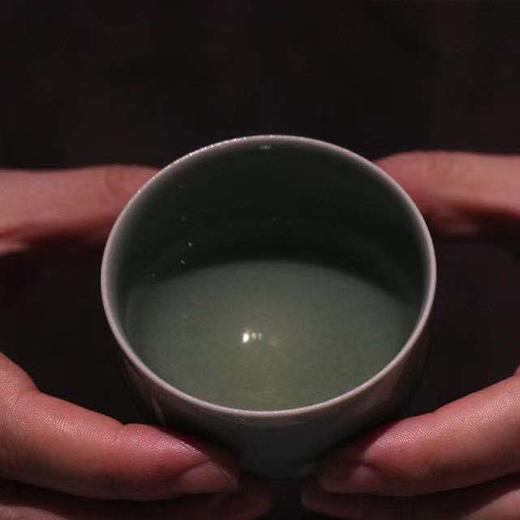 白茶 | 紫金无量 2013年 陈年古树银针 100g 商品图3