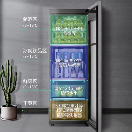 卡萨帝（Casarte）冰吧 LC-192WU1 商品图3