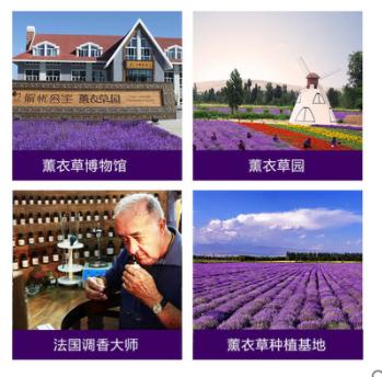 解忧公主韩花枕枕头枕芯薰衣草原植物花粒韩花刺绣优单人双人 商品图4