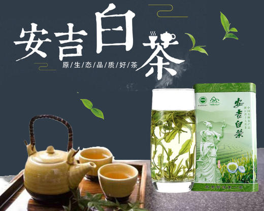 49.9元【拼团抢】50g安吉白茶 商品图0