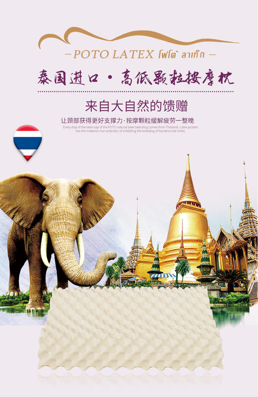 泰国POTO LATEX儿童纯天然乳胶枕（满2就送乳胶毛巾，送完为止） 商品图1