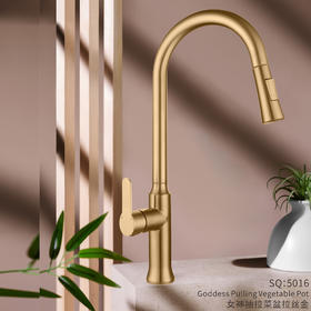 SQ：5016女神抽拉菜盆-拉丝金