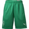 正品PUMA/彪马内马尔成人运动训练比赛短裤男子605570-07 商品缩略图4