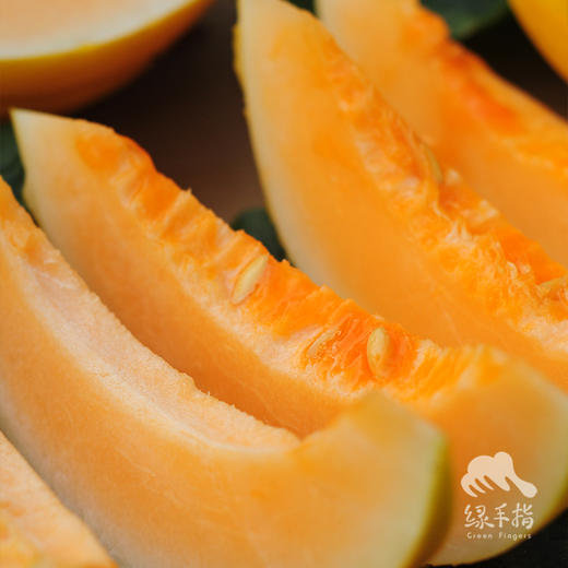 有机桂蜜甜瓜 | 绿家自产* Organic melon | Self-production 商品图1