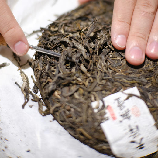 普洱生茶 | 紫金无量 2015年 无量静界 357g 商品图1