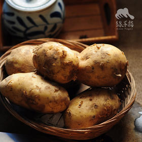 生态土豆 （荷兰7号）| 合作生产* Eco- potato | Coproduction