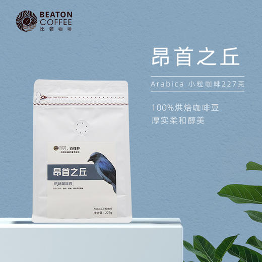 配方设计系列 昂首之丘 商品图1