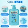 飘柔兰花清爽去屑洗发露优惠装（双效长效款随机发货）930ml 商品缩略图3