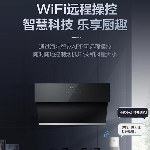 海尔（Haier）烟机CXW-219-E900C10SU1 商品图3