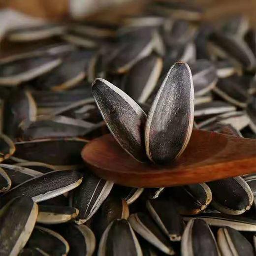 （买10袋送榛子300g）火知了原味炭烤瓜子156g/袋 商品图2