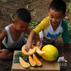有机桂蜜甜瓜 | 绿家自产* Organic melon | Self-production 商品缩略图4