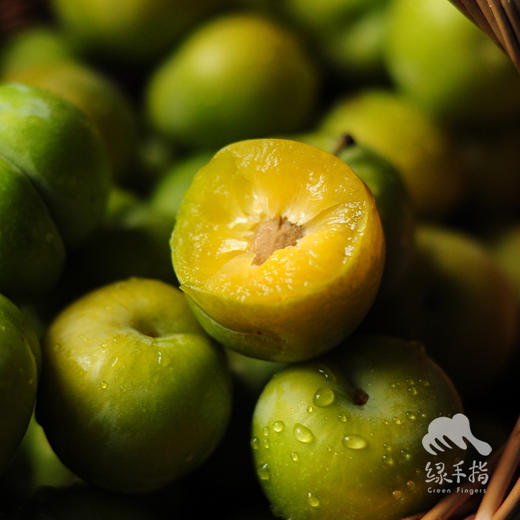 生态蜂糖李 | 合作生产*Eco-honey plum | Coproduction 商品图0