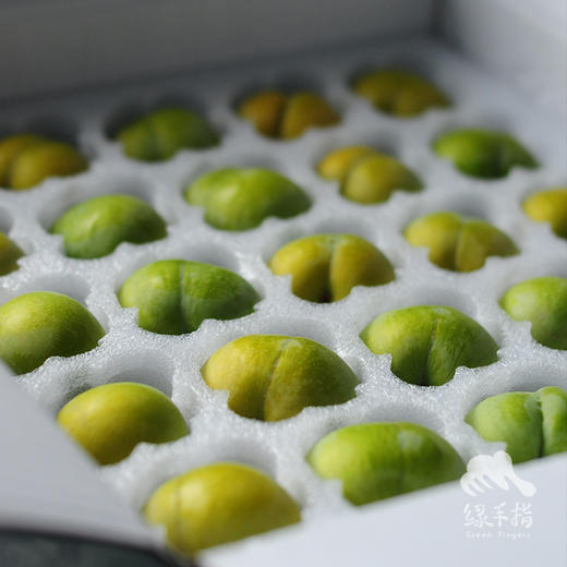 生态蜂糖李 | 合作生产*Eco-honey plum | Coproduction 商品图6