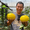 有机桂蜜甜瓜 | 绿家自产* Organic melon | Self-production 商品缩略图0