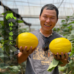 有机桂蜜甜瓜 | 绿家自产* Organic melon | Self-production