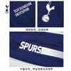 小李子:正品托特纳姆热刺新款运动休闲针织束口长裤足球训练裤男 商品缩略图1