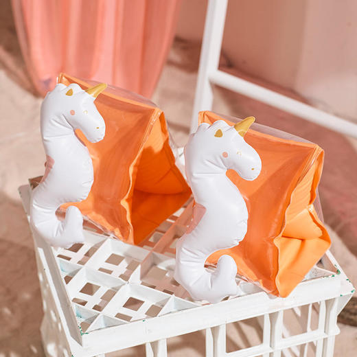 Sunnylife儿童游泳手臂圈（3-6岁） 商品图1