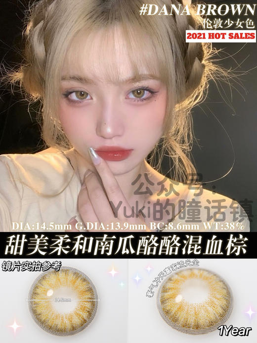 贵妇Winni-Dana棕 商品图0