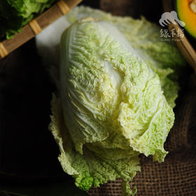 生态娃娃菜 | 合作生产*Eco-baby cabbage | Coproduction