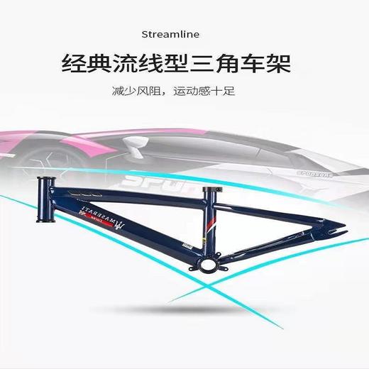 MASERATI儿童自行车 16寸 商品图2