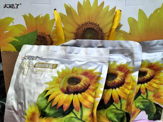 （买10袋送榛子300g）火知了原味炭烤瓜子156g/袋 商品图1