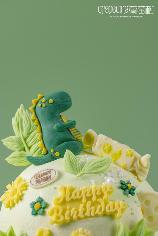 恐龙乐园 商品图2