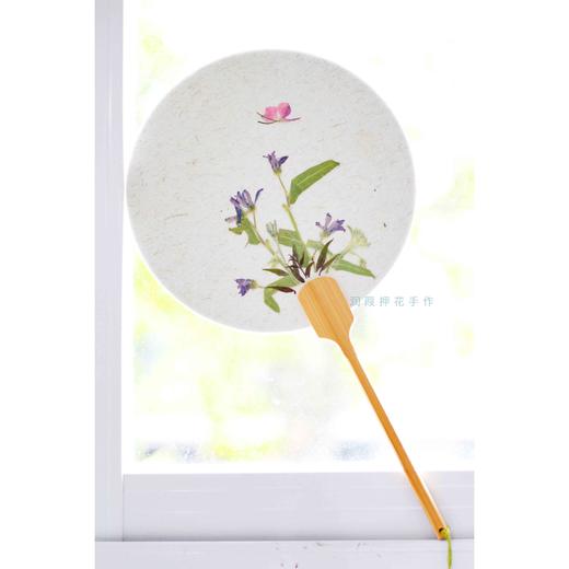 押花团扇-集合 商品图5