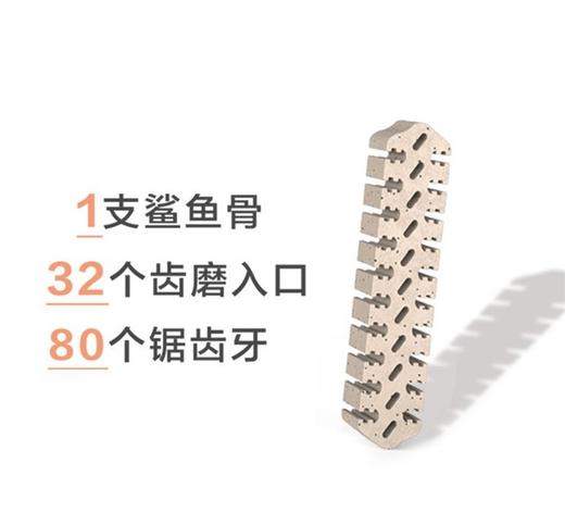DENT.DOC丹特医生鲨鱼骨洁齿棒宠物狗狗磨牙骨大中小型犬零食咬胶 商品图3