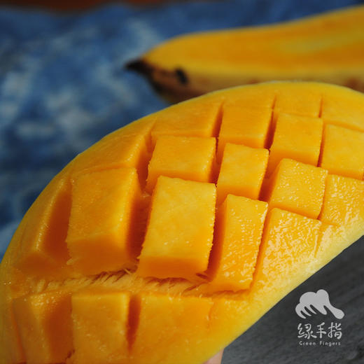 生态芒果（成熟度较高，只发广东） | 绿家自产*Eco-mango | Self-production 商品图3