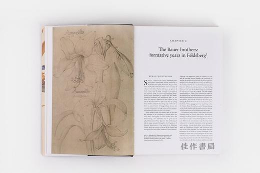 The Bauers: Joseph  Franz & Ferdinand: Masters of Botanical Illustration 鲍尔斯兄弟：植物学插图大师 商品图2