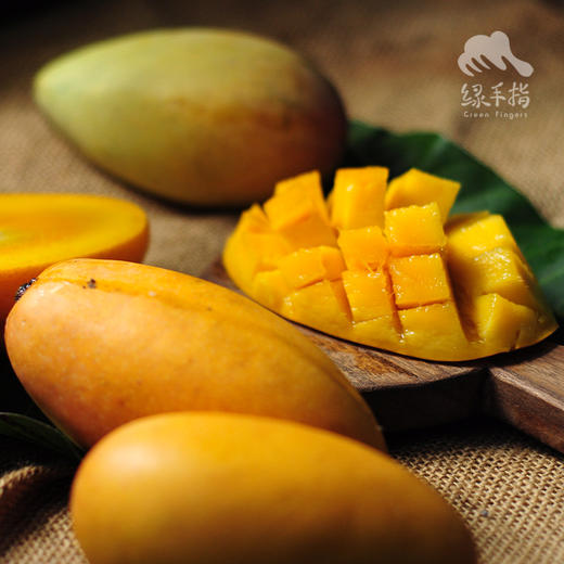 生态芒果（成熟度较高，只发广东） | 绿家自产*Eco-mango | Self-production 商品图0