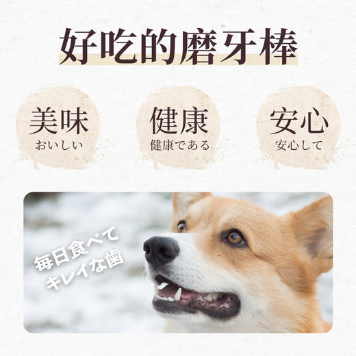 DENT.DOC丹特医生鲨鱼骨洁齿棒宠物狗狗磨牙骨大中小型犬零食咬胶 商品图4