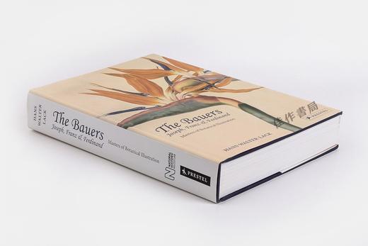 The Bauers: Joseph  Franz & Ferdinand: Masters of Botanical Illustration 鲍尔斯兄弟：植物学插图大师 商品图1