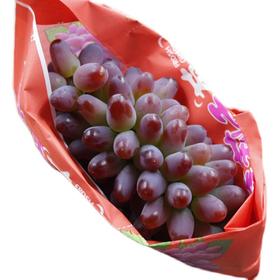 （一点红提）茉莉香提 500g