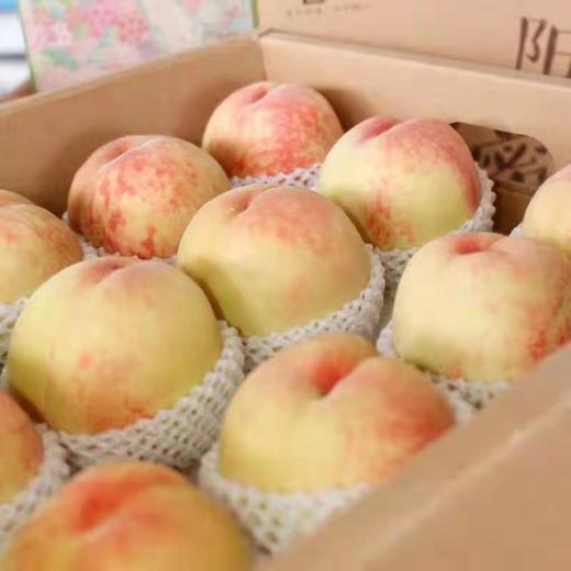 【尝鲜】江苏阳山水蜜桃（预售、江浙沪包邮） 商品图2