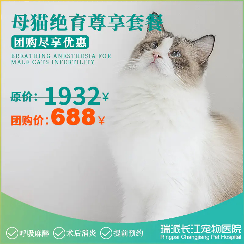 母猫绝育尊享套餐（10KG以下）需提前1-3天预约