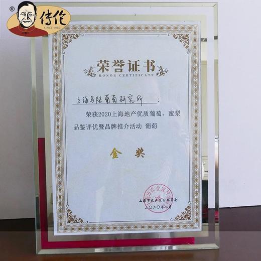 至尊超级女皇5斤装—传伦精品葡萄现摘现发江浙沪地区包邮 商品图3