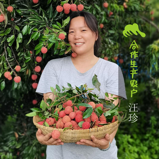 生态槐枝荔枝 | 合作生产 * Eco-litchi | Coproduction 商品图1