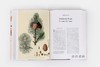 The Bauers: Joseph  Franz & Ferdinand: Masters of Botanical Illustration 鲍尔斯兄弟：植物学插图大师 商品缩略图3