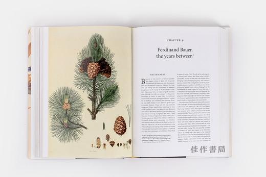 The Bauers: Joseph  Franz & Ferdinand: Masters of Botanical Illustration 鲍尔斯兄弟：植物学插图大师 商品图3