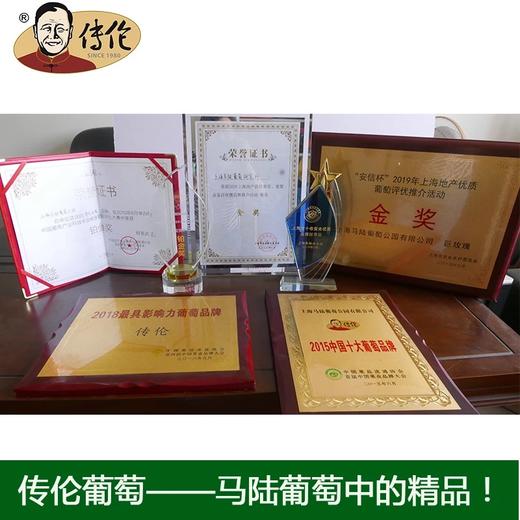 玫瑰皇后5斤装 —传伦葡萄精品 商品图4