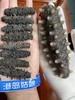 九年淡干辽刺参  一斤 送50头黄金鲍鱼干 商品缩略图1
